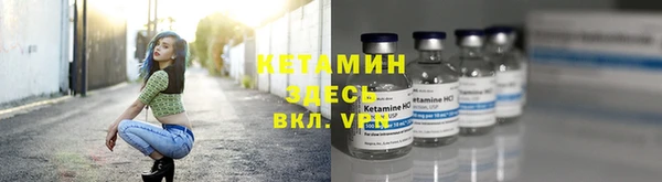 трава Зеленокумск