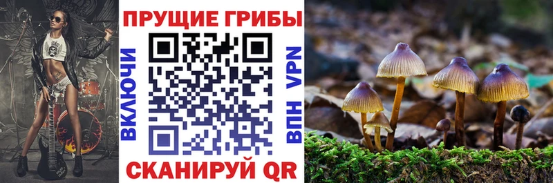 Купить  Ува  Псилоцибиновые грибы GOLDEN TEACHER 